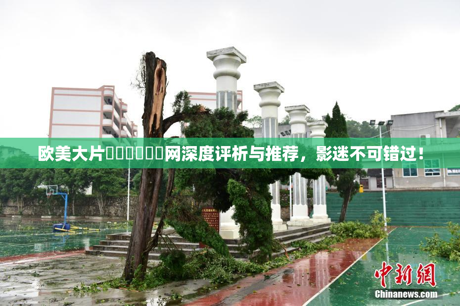 欧美大片❌‌❌‌❌‌网深度评析与推荐，影迷不可错过！