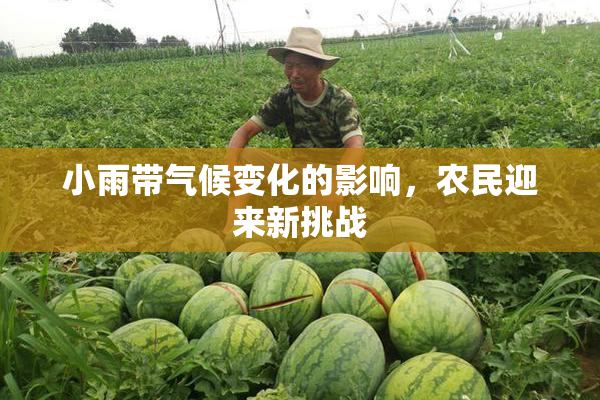 小雨带气候变化的影响，农民迎来新挑战