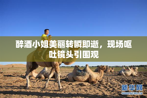 醉酒小姐美丽转瞬即逝，现场呕吐镜头引围观