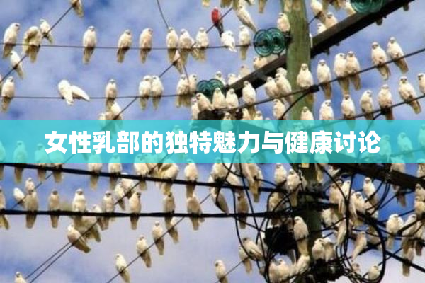 女性乳部的独特魅力与健康讨论