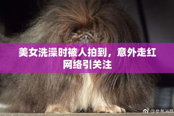 美女洗澡时被人拍到，意外走红网络引关注
