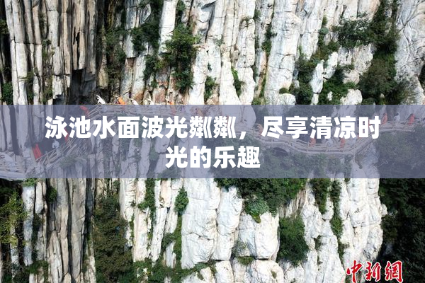 泳池水面波光粼粼，尽享清凉时光的乐趣