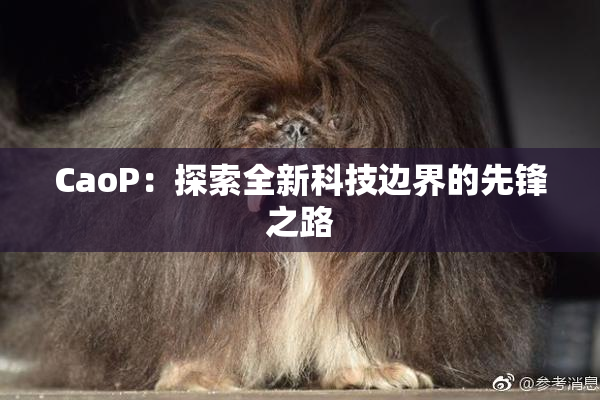 CaoP：探索全新科技边界的先锋之路