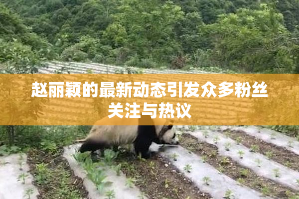 赵丽颖的最新动态引发众多粉丝关注与热议