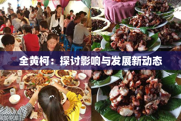 全黄柯：探讨影响与发展新动态
