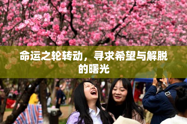 命运之轮转动，寻求希望与解脱的曙光