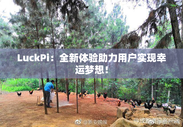 LuckPi：全新体验助力用户实现幸运梦想！