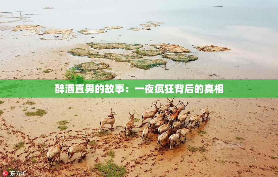 醉酒直男的故事：一夜疯狂背后的真相
