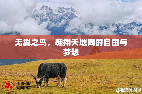 无翼之鸟，翱翔天地间的自由与梦想