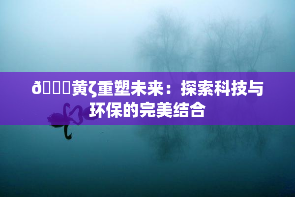 🔞黄ζ重塑未来：探索科技与环保的完美结合