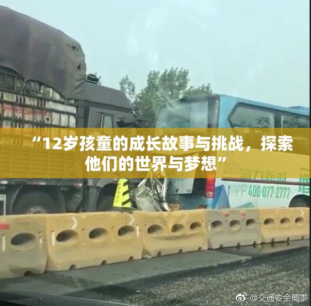 “12岁孩童的成长故事与挑战，探索他们的世界与梦想”