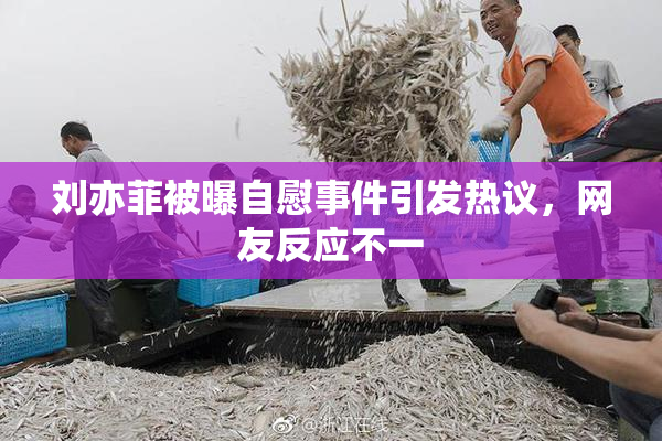 刘亦菲被曝自慰事件引发热议，网友反应不一