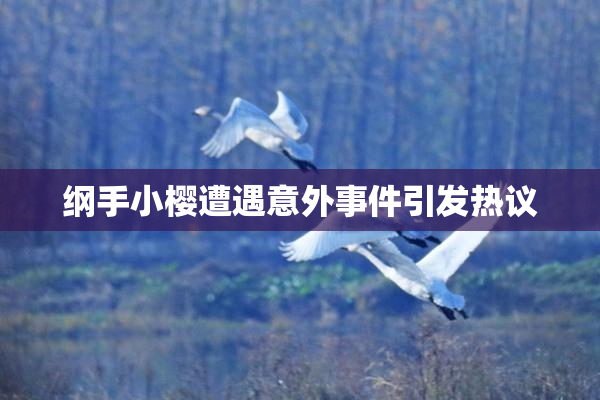 纲手小樱遭遇意外事件引发热议