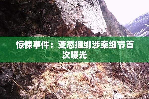 惊悚事件：变态捆绑涉案细节首次曝光