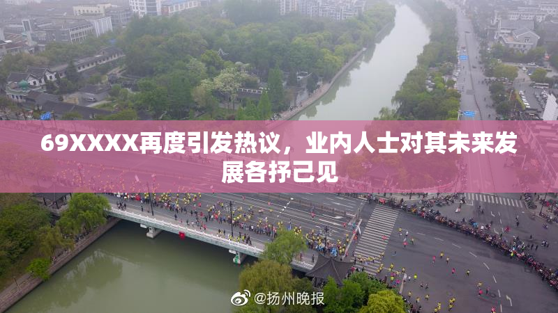 69XXXX再度引发热议，业内人士对其未来发展各抒己见