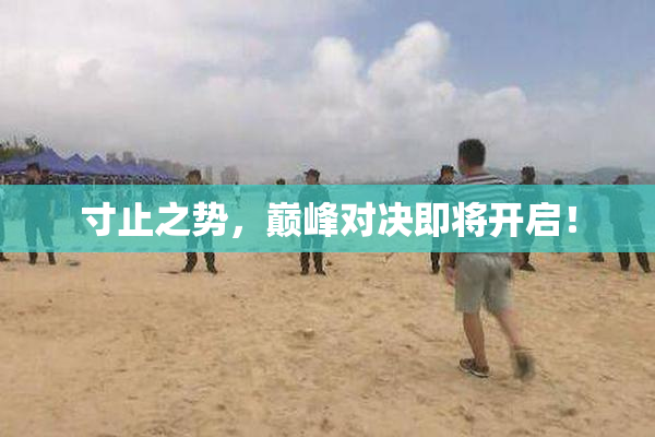 寸止之势，巅峰对决即将开启！