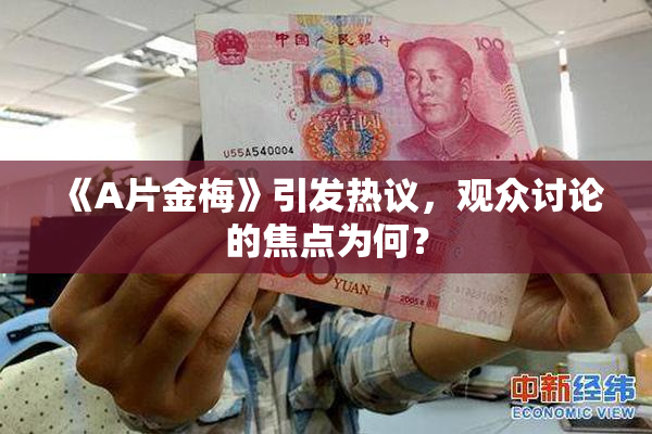 《A片金梅》引发热议，观众讨论的焦点为何？