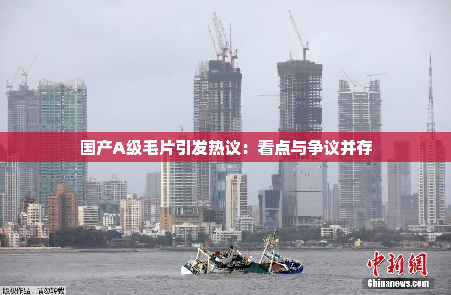 国产A级毛片引发热议：看点与争议并存