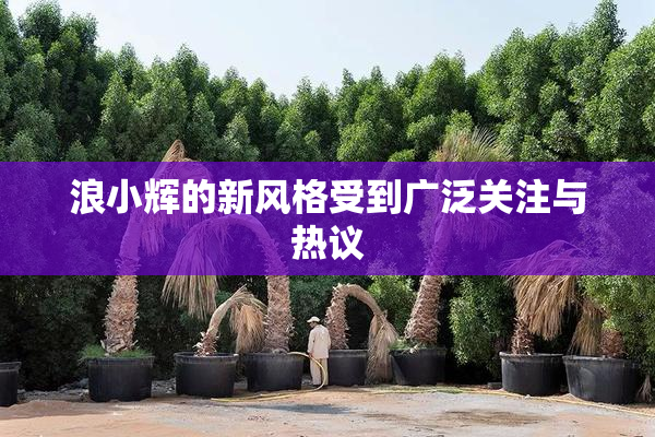 浪小辉的新风格受到广泛关注与热议