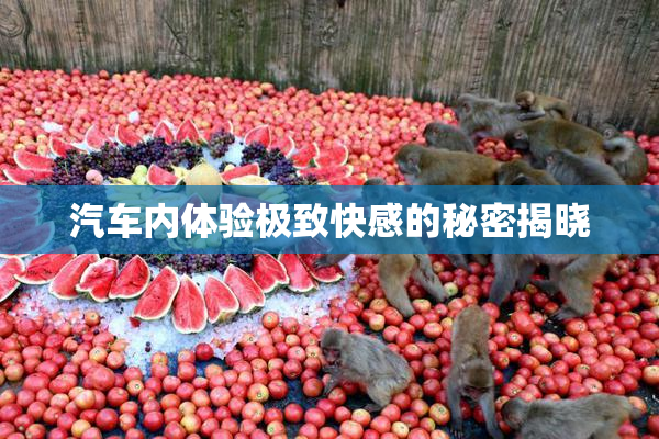 汽车内体验极致快感的秘密揭晓