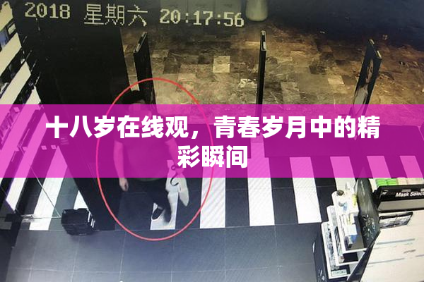 十八岁在线观，青春岁月中的精彩瞬间