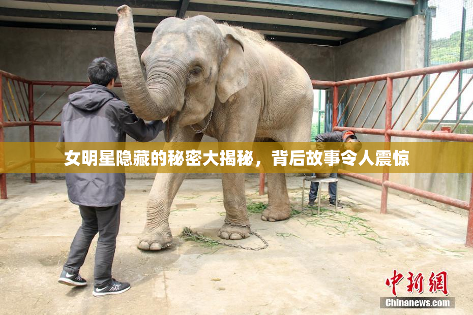 女明星隐藏的秘密大揭秘，背后故事令人震惊