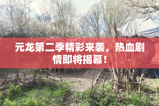 元龙第二季精彩来袭，热血剧情即将揭幕！