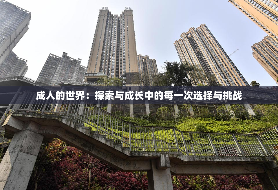 成人的世界：探索与成长中的每一次选择与挑战