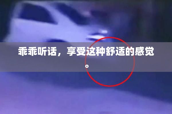 乖乖听话，享受这种舒适的感觉。