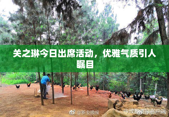 关之琳今日出席活动，优雅气质引人瞩目