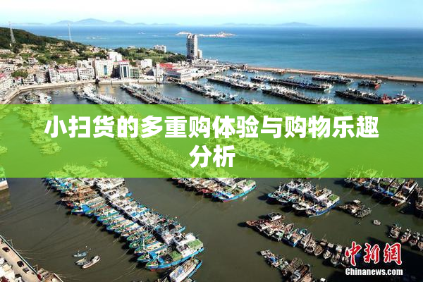 小扫货的多重购体验与购物乐趣分析