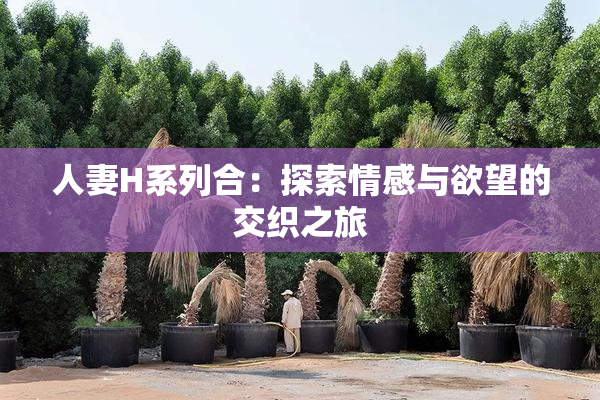 人妻H系列合：探索情感与欲望的交织之旅
