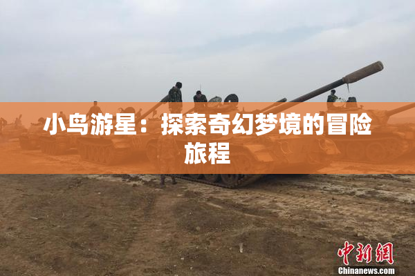 小鸟游星：探索奇幻梦境的冒险旅程