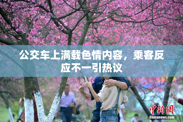公交车上满载色情内容，乘客反应不一引热议