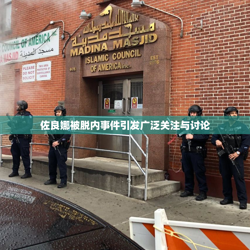 佐良娜被脱内事件引发广泛关注与讨论