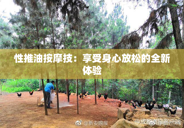 性推油按摩技：享受身心放松的全新体验