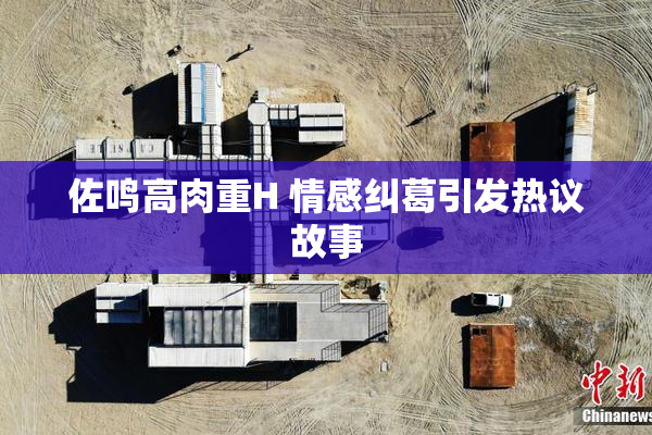 佐鸣高肉重H 情感纠葛引发热议故事