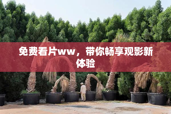 免费看片ww，带你畅享观影新体验