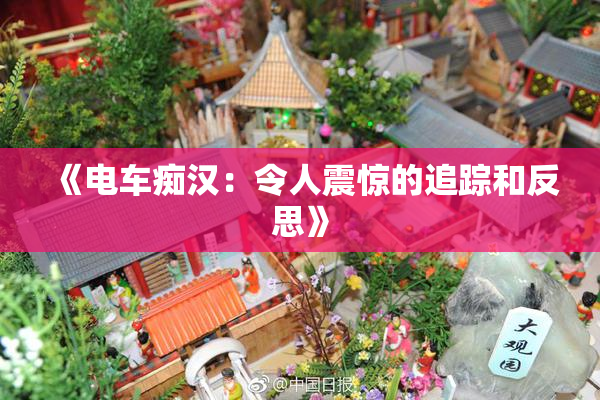 《电车痴汉：令人震惊的追踪和反思》