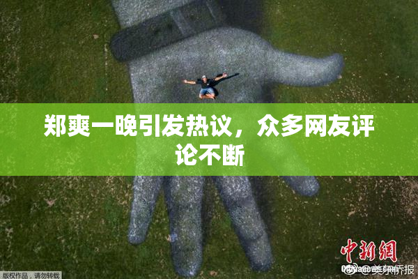 郑爽一晚引发热议，众多网友评论不断