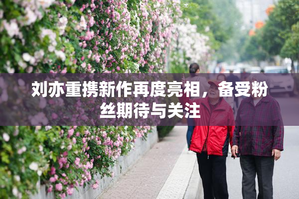 刘亦重携新作再度亮相，备受粉丝期待与关注