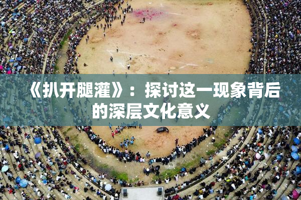 《扒开腿灌》：探讨这一现象背后的深层文化意义