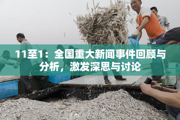 11至1：全国重大新闻事件回顾与分析，激发深思与讨论