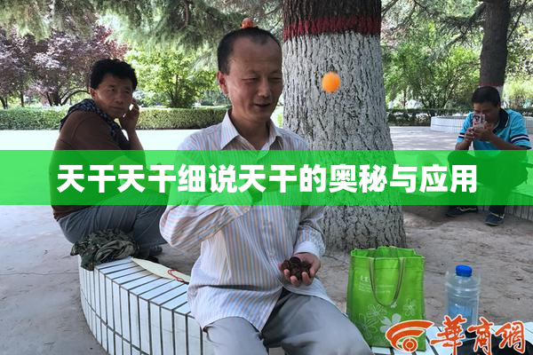 天干天干细说天干的奥秘与应用