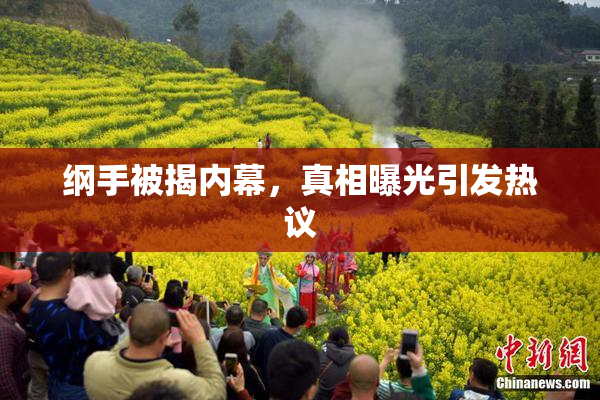 纲手被揭内幕，真相曝光引发热议