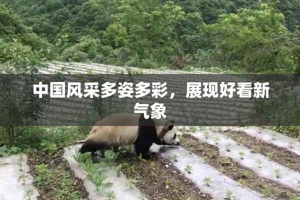 中国风采多姿多彩，展现好看新气象