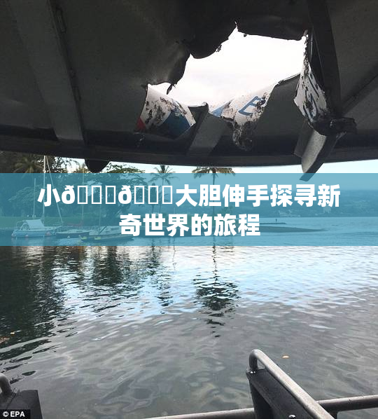 小🐔🐔大胆伸手探寻新奇世界的旅程