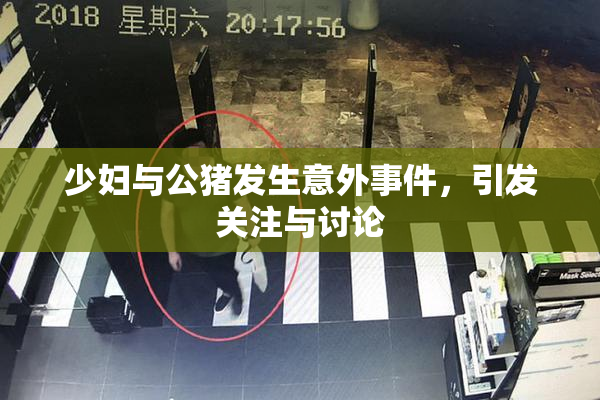 少妇与公猪发生意外事件，引发关注与讨论