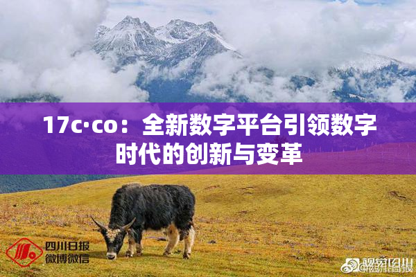 17c·co：全新数字平台引领数字时代的创新与变革