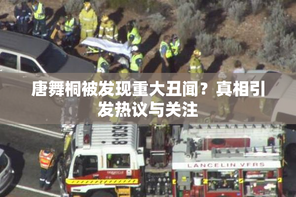 唐舞桐被发现重大丑闻？真相引发热议与关注